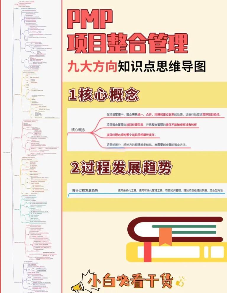 整合项目管理服务(项目整合管理的主要工作是)南充市